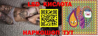 мет Кингисепп