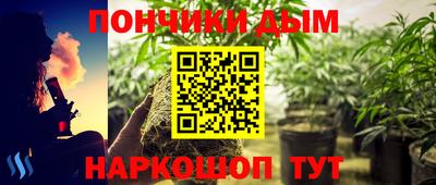 мет Кингисепп