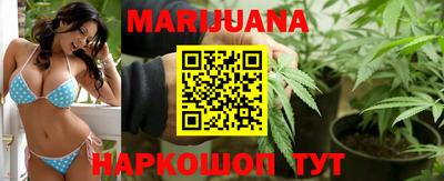 мет Кингисепп