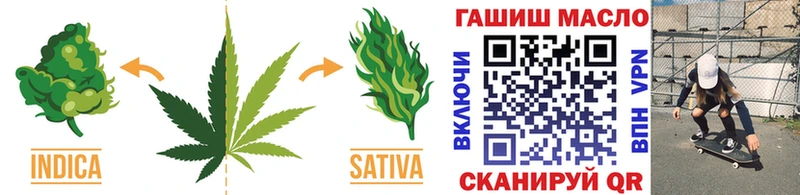 купить наркотик  Краснознаменск  даркнет наркотические препараты  ТГК гашишное масло  блэк спрут tor 