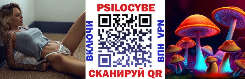 Псилоцибиновые грибы Psilocybine cubensis  Краснознаменск 